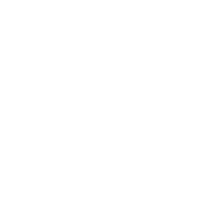 100% Authentic Icon